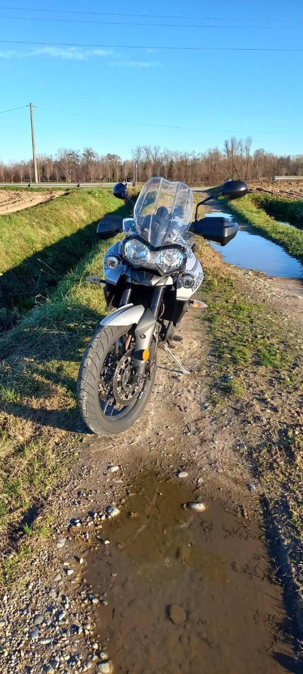 Triumph Tiger 800 XRx (2017 - 18) (4)