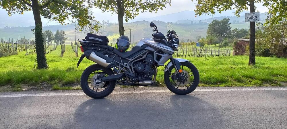 Triumph Tiger 800 XRx (2017 - 18) (5)