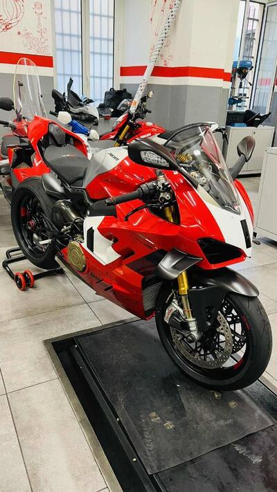 Ducati Panigale V4 R (2023 - 24) usata