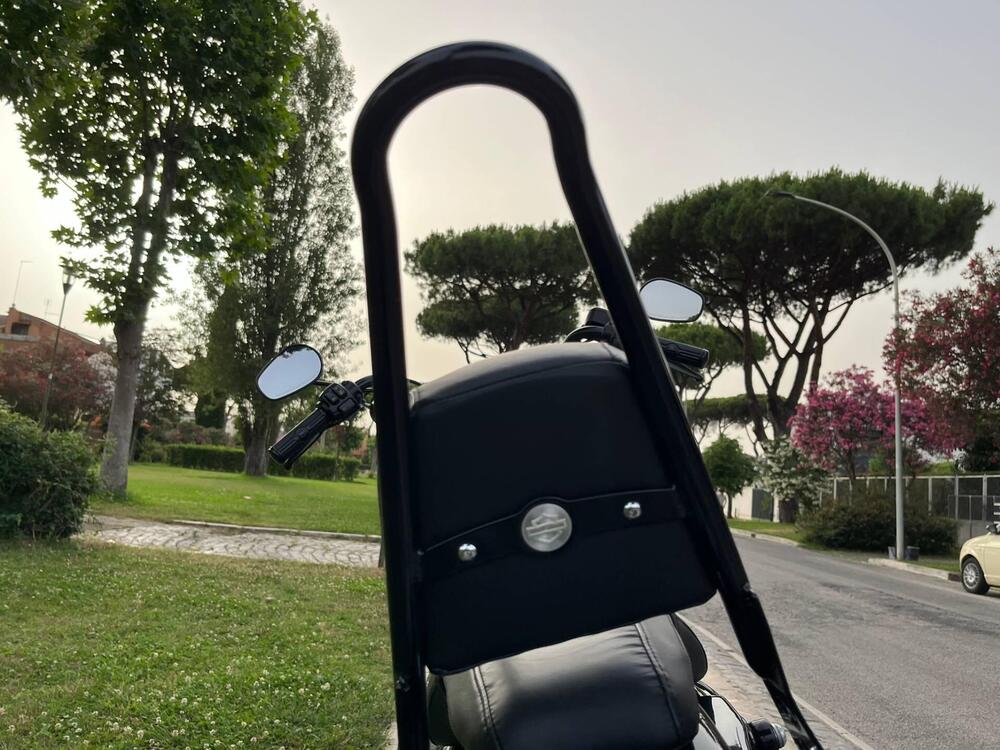 Harley-Davidson 1200 Iron (2018 - 20) - XL1200N (11)