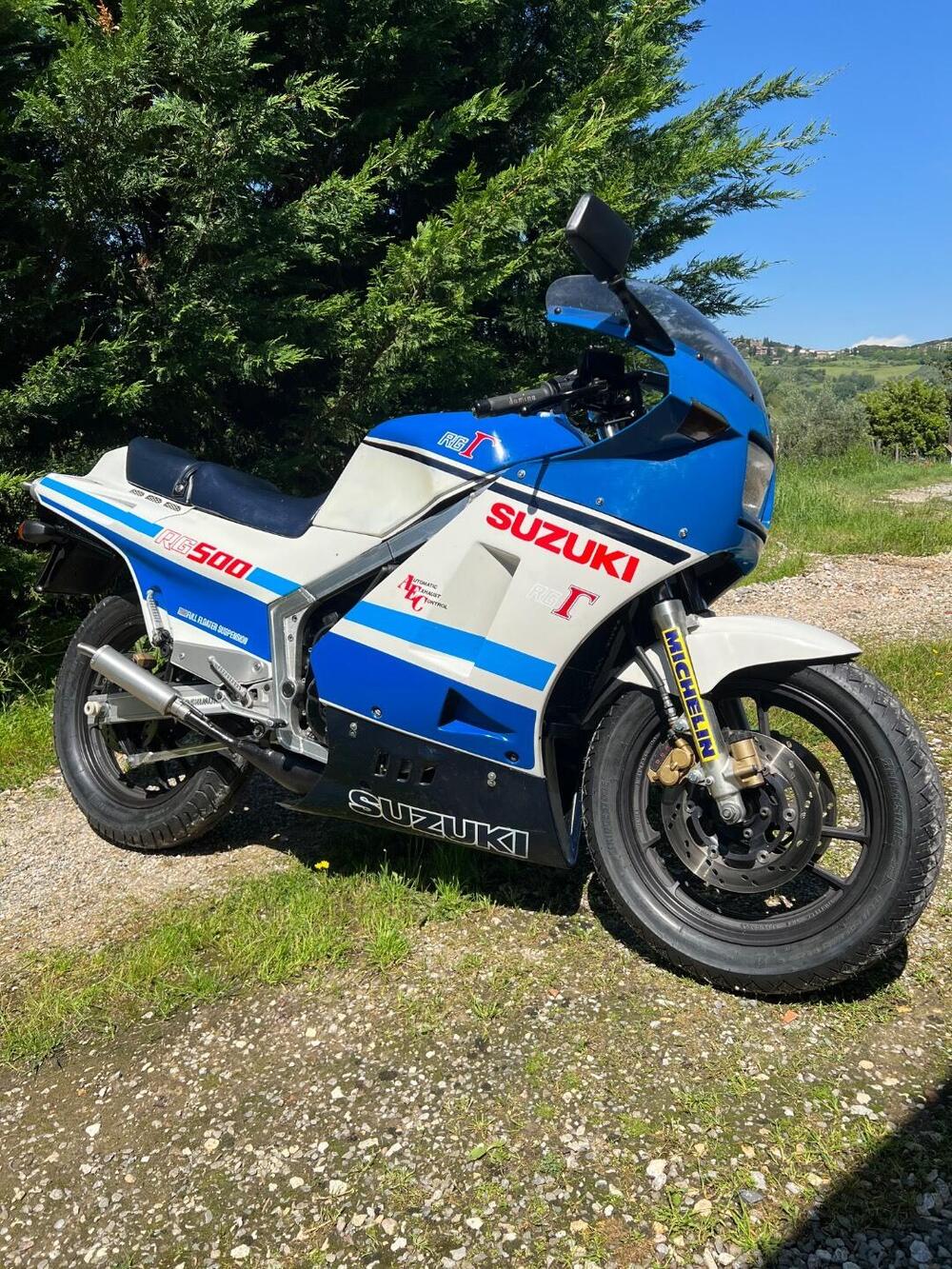 Suzuki Rg 500 gamma (7)