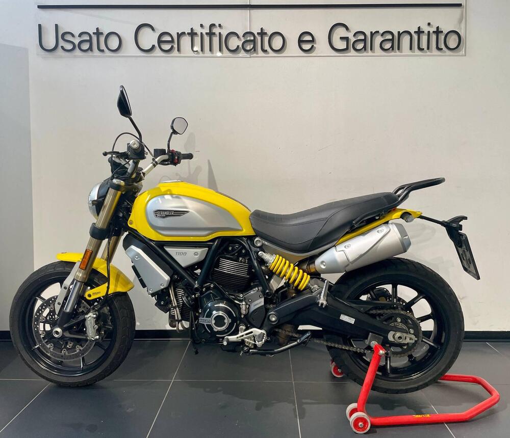 Ducati Scrambler 1100 (2018 - 20) (6)