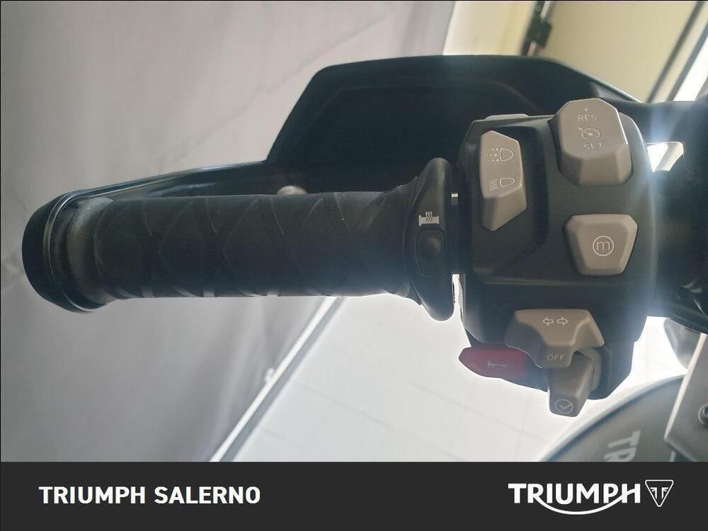 Triumph Tiger 900 Rally Pro (2020 - 23) (10)
