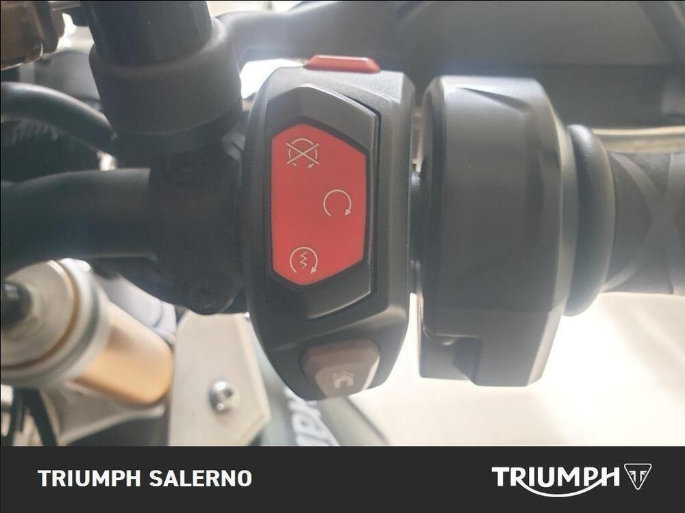 Triumph Tiger 900 Rally Pro (2020 - 23) (12)