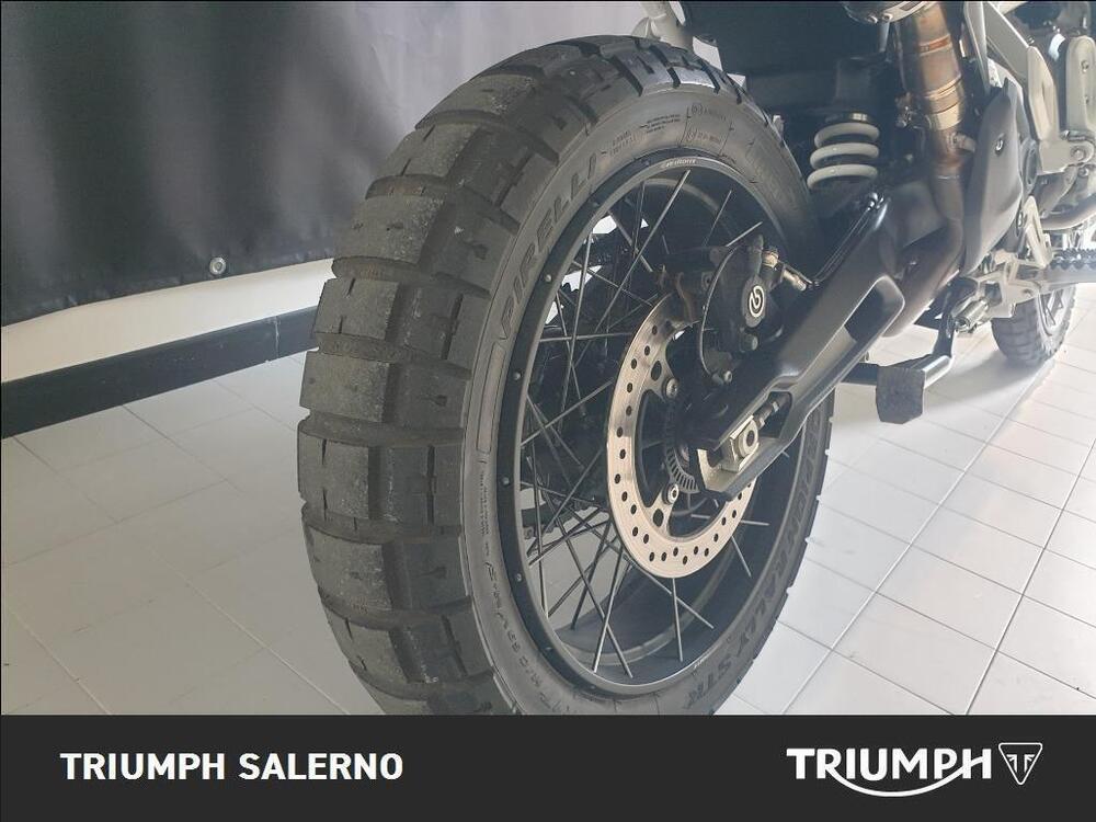 Triumph Tiger 900 Rally Pro (2020 - 23) (15)