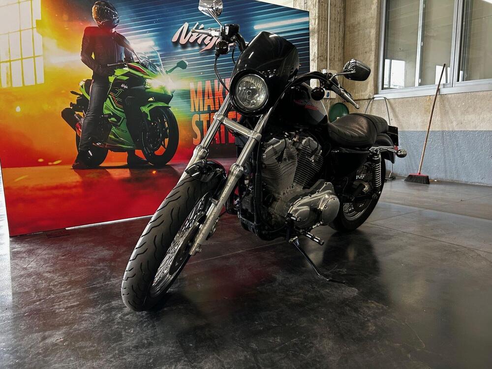 Harley-Davidson 883 Low (2006 - 07) - XL 883L (2)