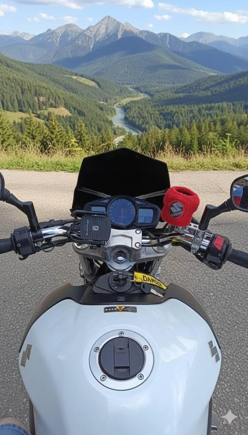 Suzuki GSR 600 (2006 - 11) (2)