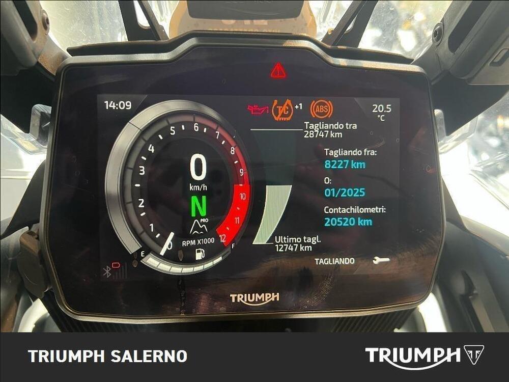 Triumph Tiger 1200 Rally Pro (2022 - 23) (13)