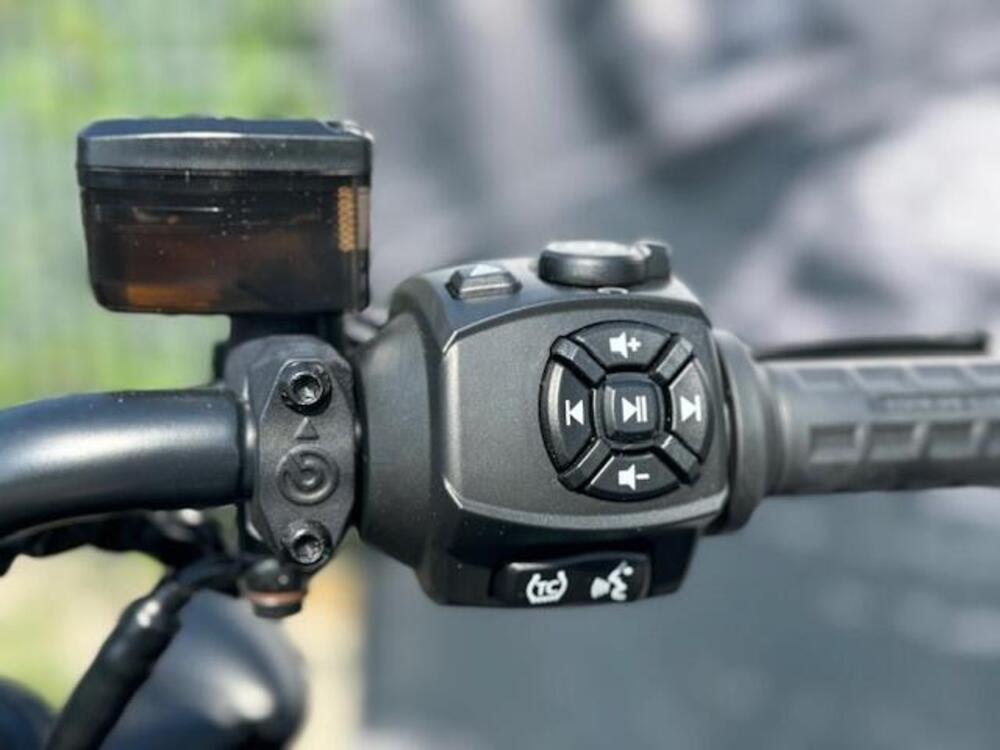 Harley-Davidson Sportster S (2022 - 24) (7)