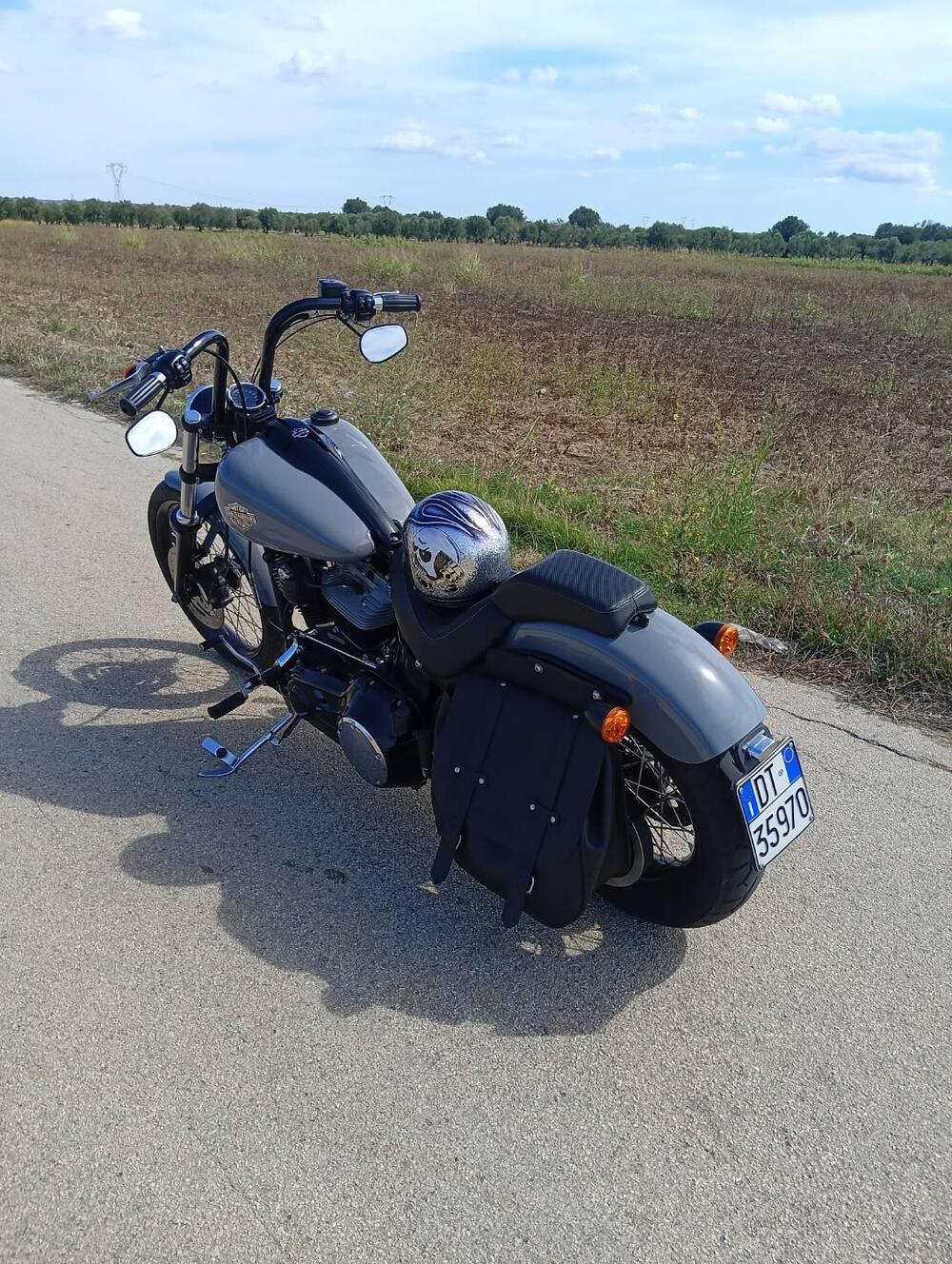 Harley-Davidson 1584 Blackline (2011 - 13) - FXS (3)