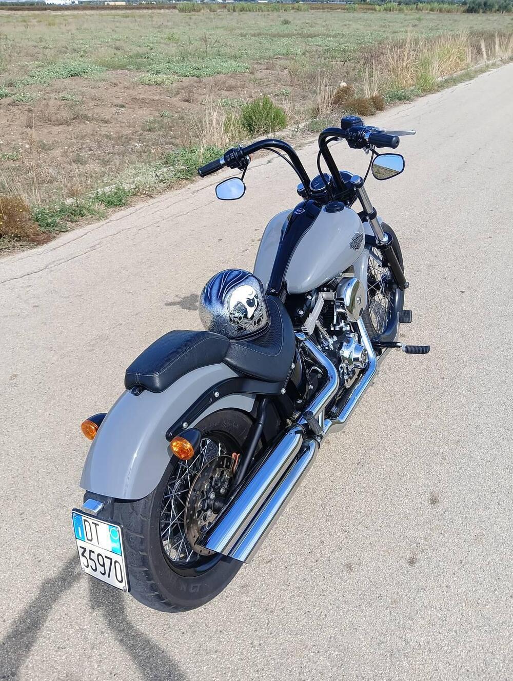 Harley-Davidson 1584 Blackline (2011 - 13) - FXS (6)