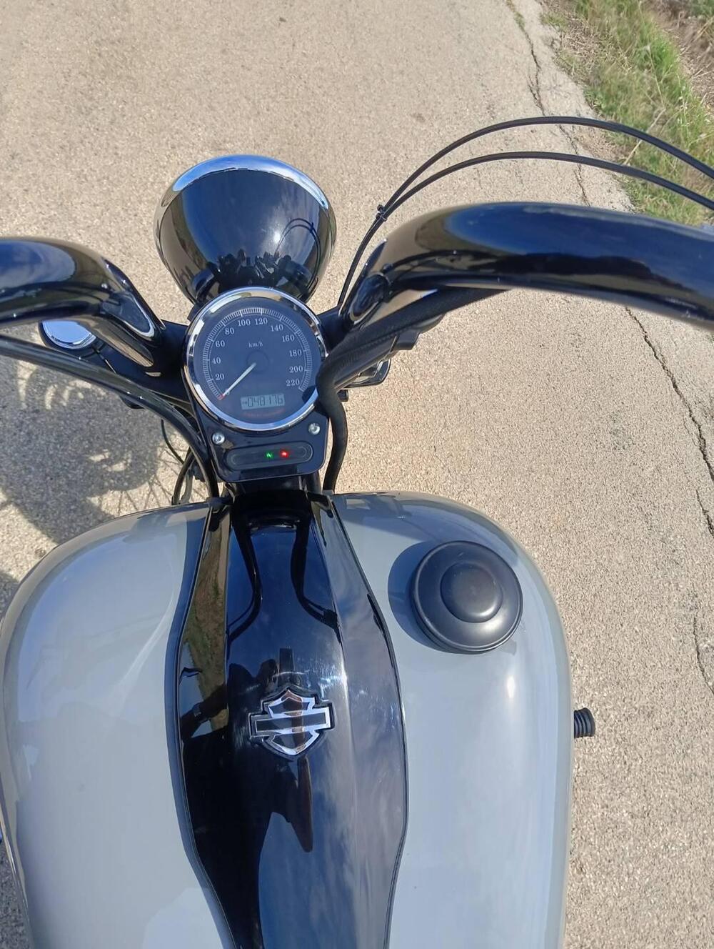 Harley-Davidson 1584 Blackline (2011 - 13) - FXS (7)