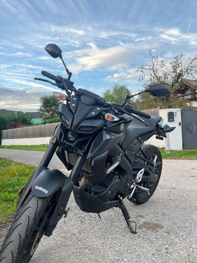Yamaha MT-125 (2021 - 24) usata