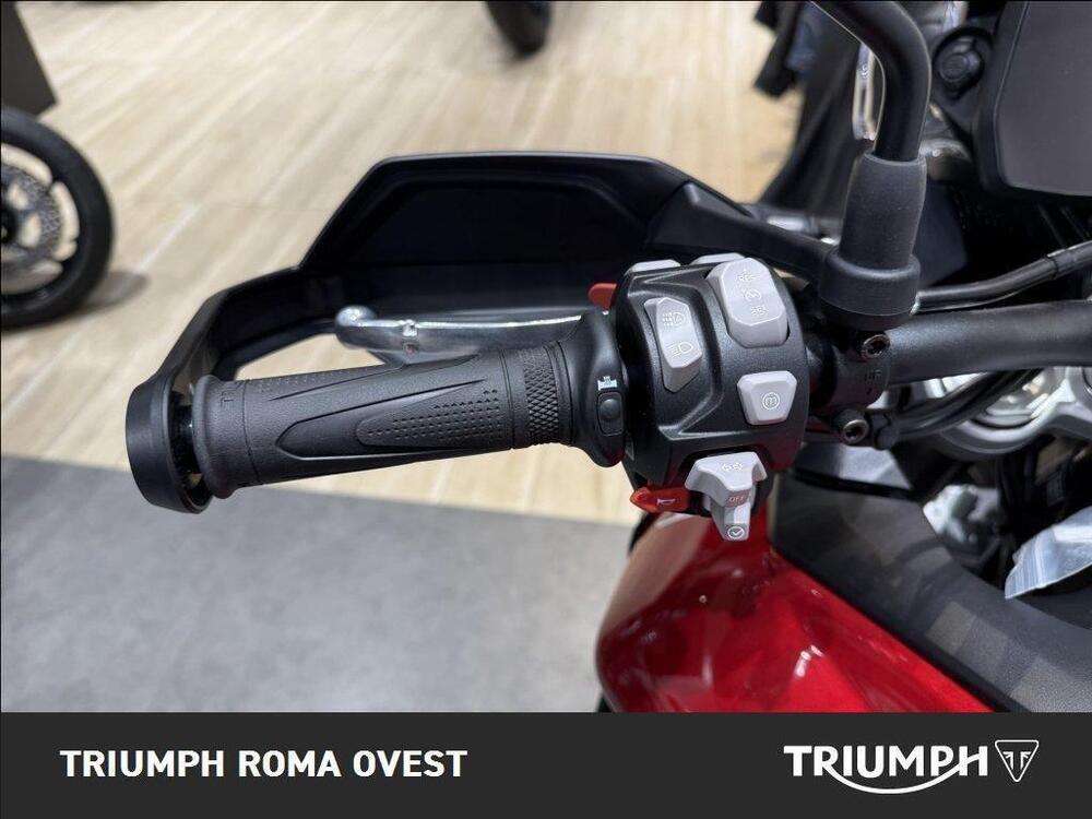 Triumph Tiger 900 GT Pro (2024 - 25) (13)