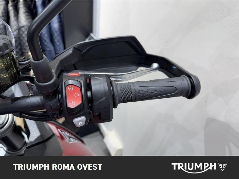 Triumph Tiger 900 GT Pro (2024 - 25) (14)