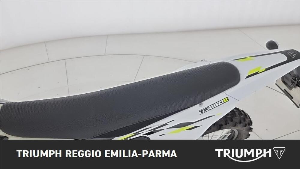 Triumph TF 250-E (2026) (13)