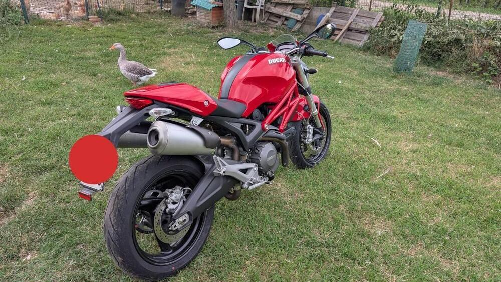 Ducati Monster 696 Plus (2007 - 14) (6)