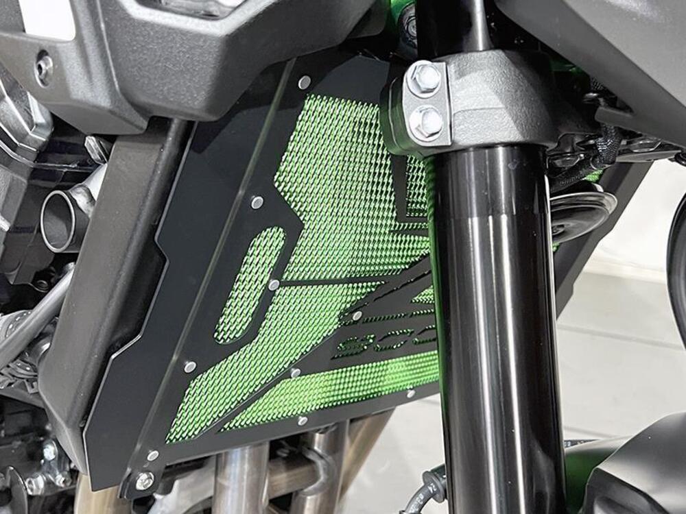 Kawasaki Z 900 A2 (2025 - 26) (5)