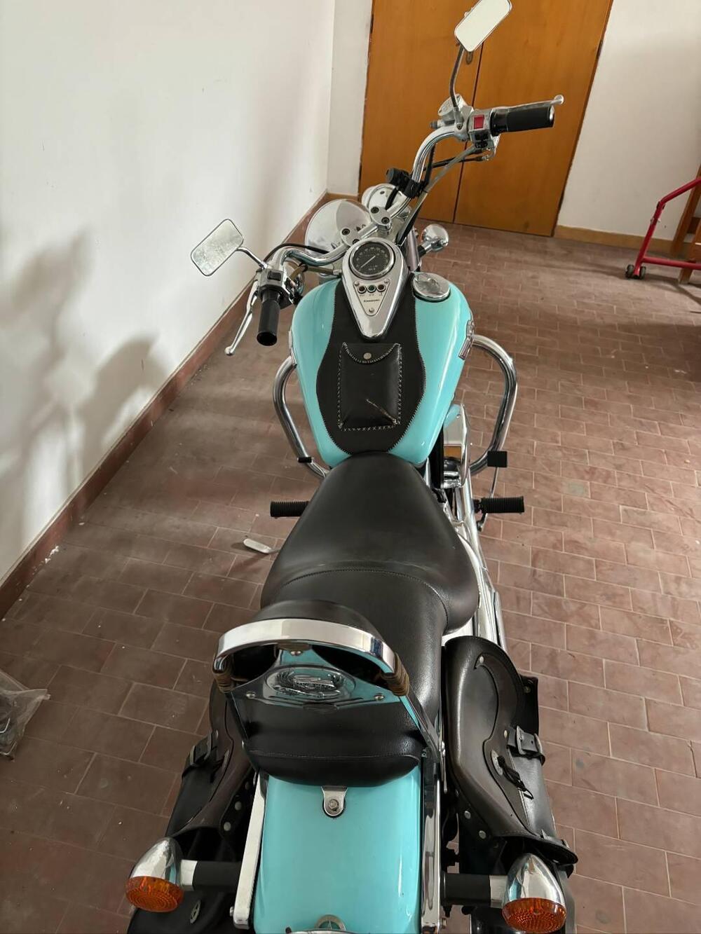 Kawasaki VN 800 Classic (2001 - 06) (7)