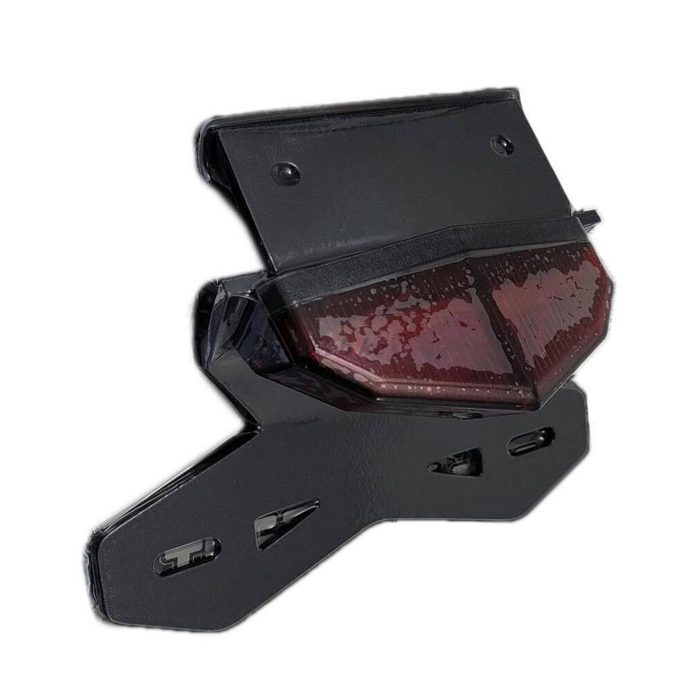 Set Luci posteriori Thep per Honda CRF 300L (2)