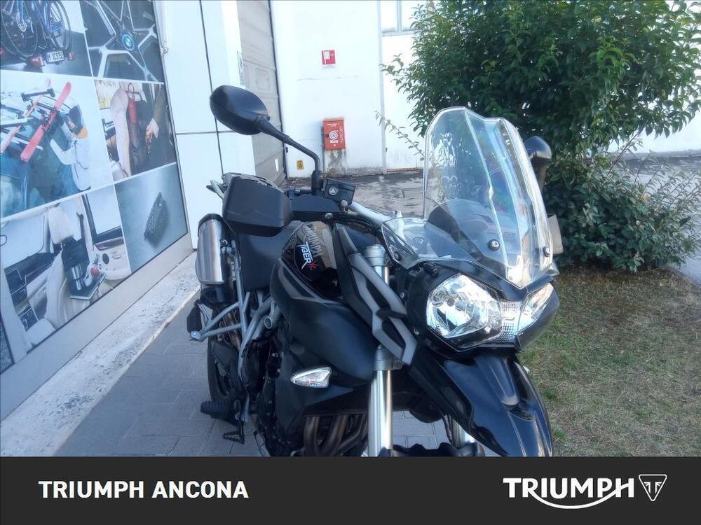 Triumph Tiger 800 XC ABS (2010 - 14) (6)