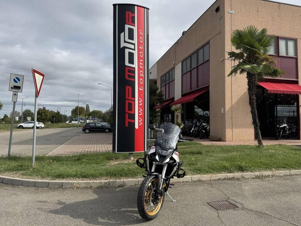 Cyclone RX600 (2025 - 26) (2)