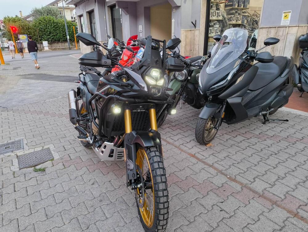 Voge Valico 800DSX Rally (2025 - 26) (2)