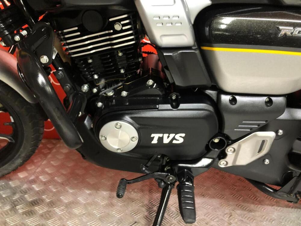TVS Motor Ronin 250 (2024 - 26) (6)