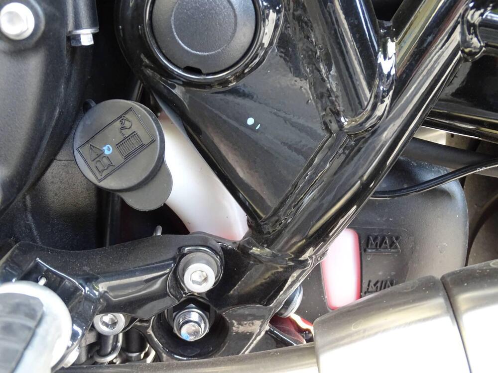 Triumph Speed Twin 900 (2023 - 24) (11)