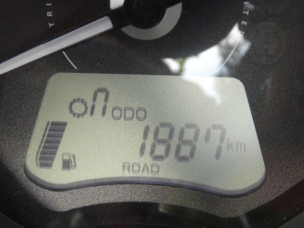 Triumph Speed Twin 900 (2023 - 24) (5)