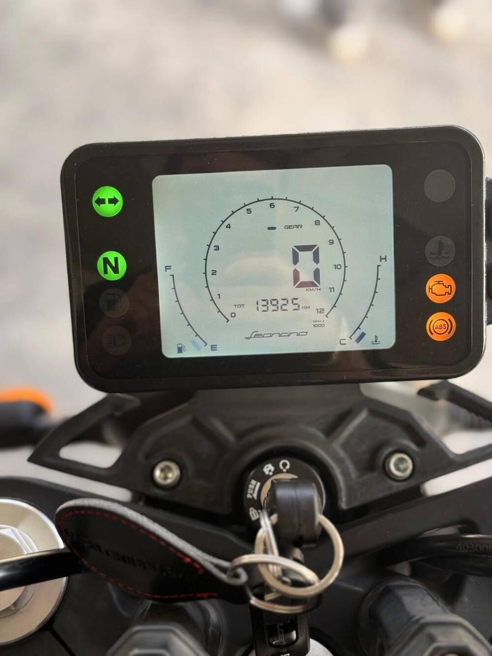 Benelli Leoncino 250 (2021 - 25) (4)