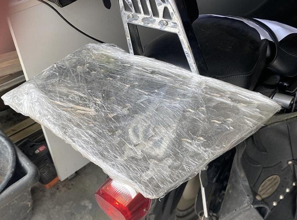 Harley-Davidson 883 Hugger (1994 - 00) - XLH (7)