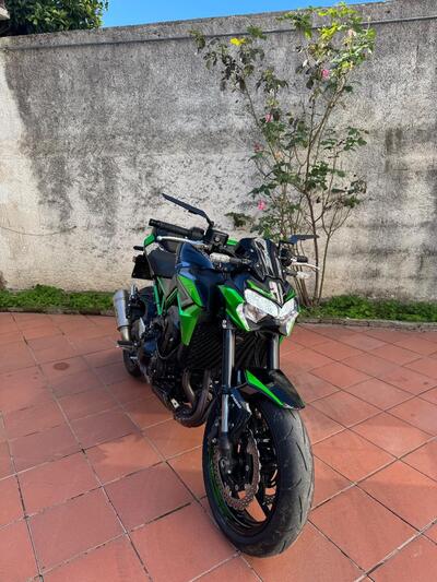 Kawasaki Z 900 (2021 - 24) usata