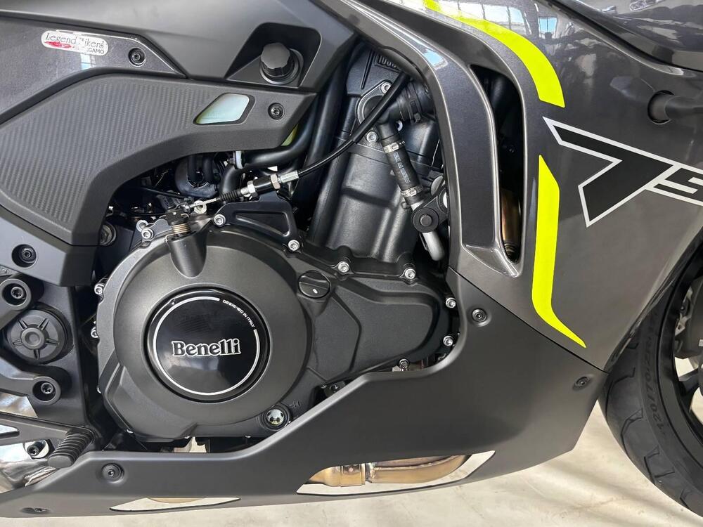 Benelli Tornado 550 (2025 - 26) (3)