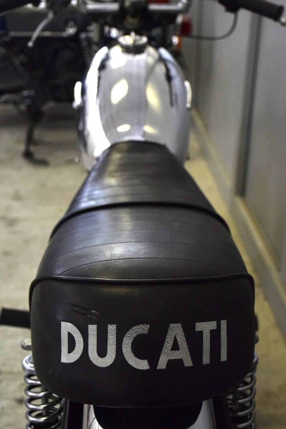 Ducati Ducati Scrambler 450 (8)