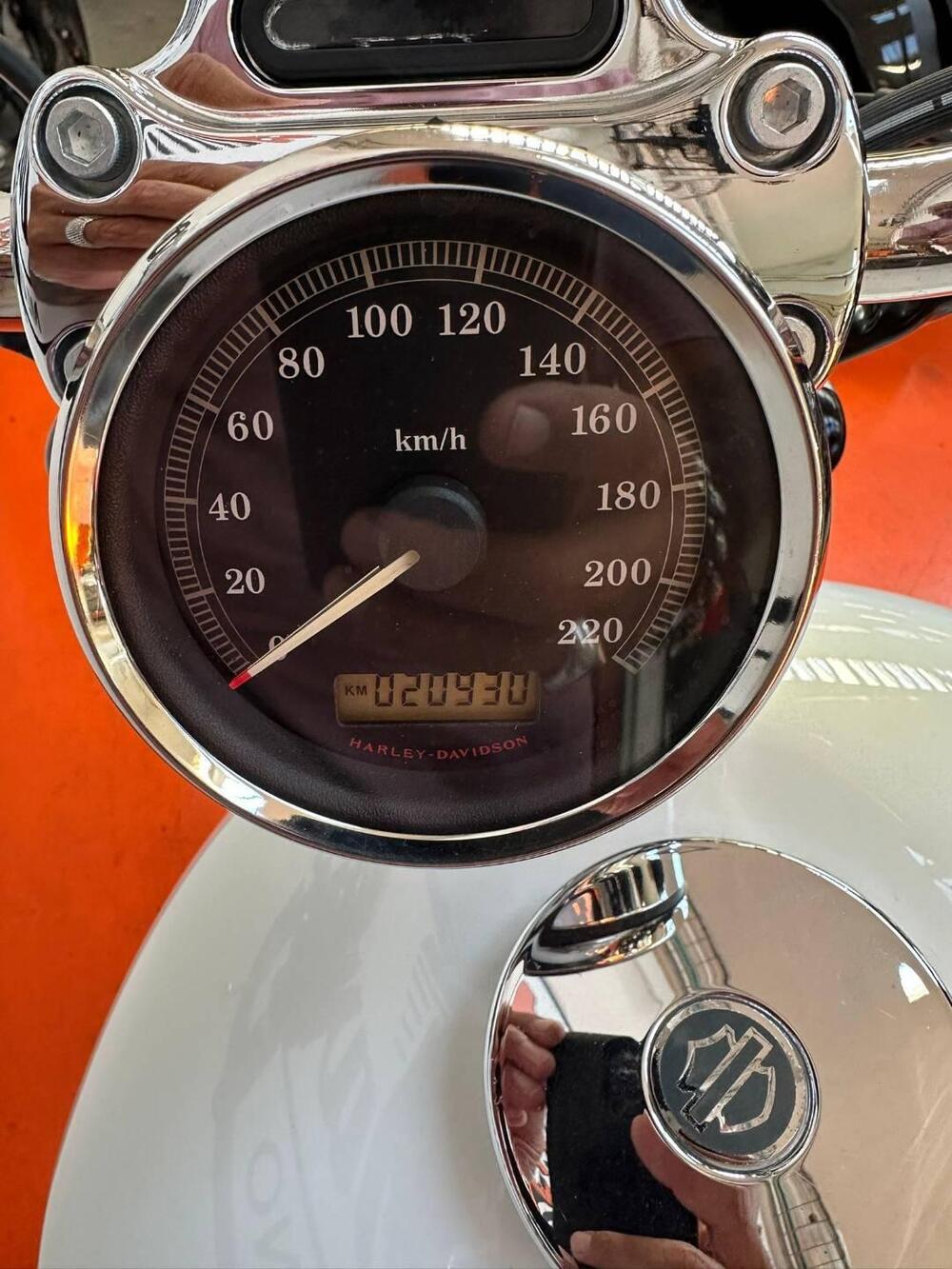 Harley-Davidson 883 Custom (2008 - 12) - XL 883C (4)