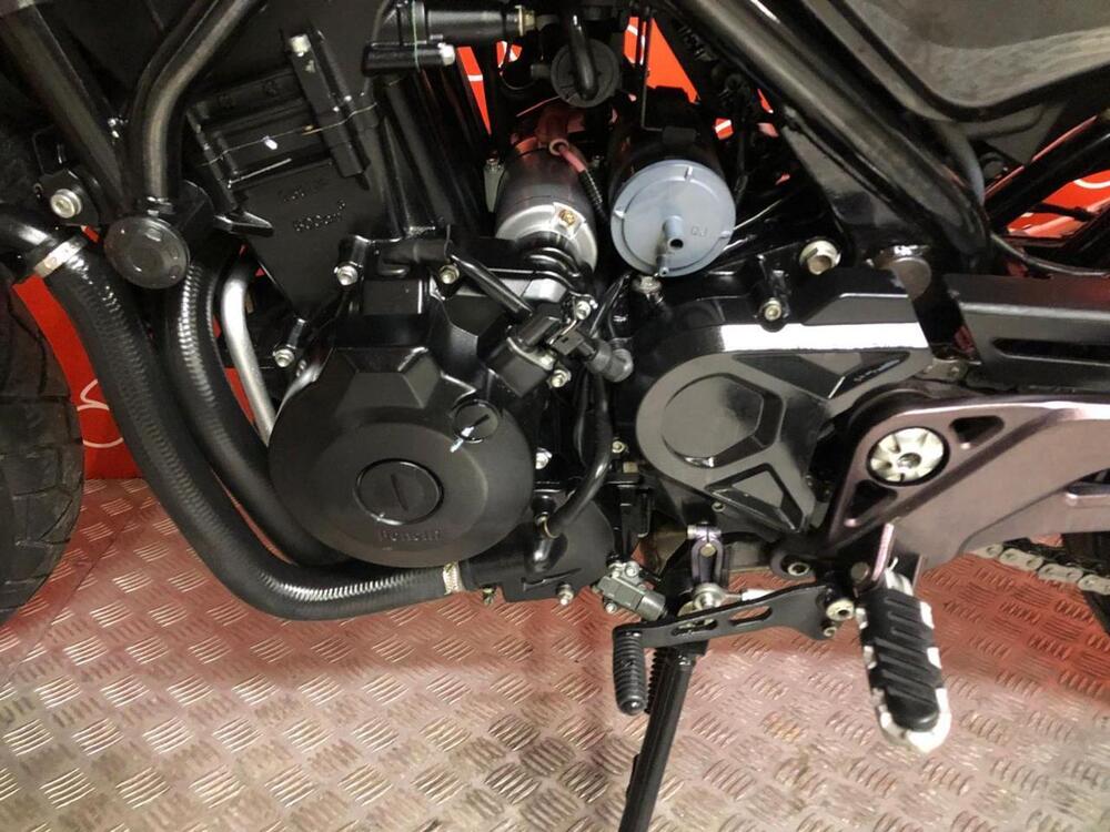 Benelli Leoncino 500 Trail (2021 - 26) (5)