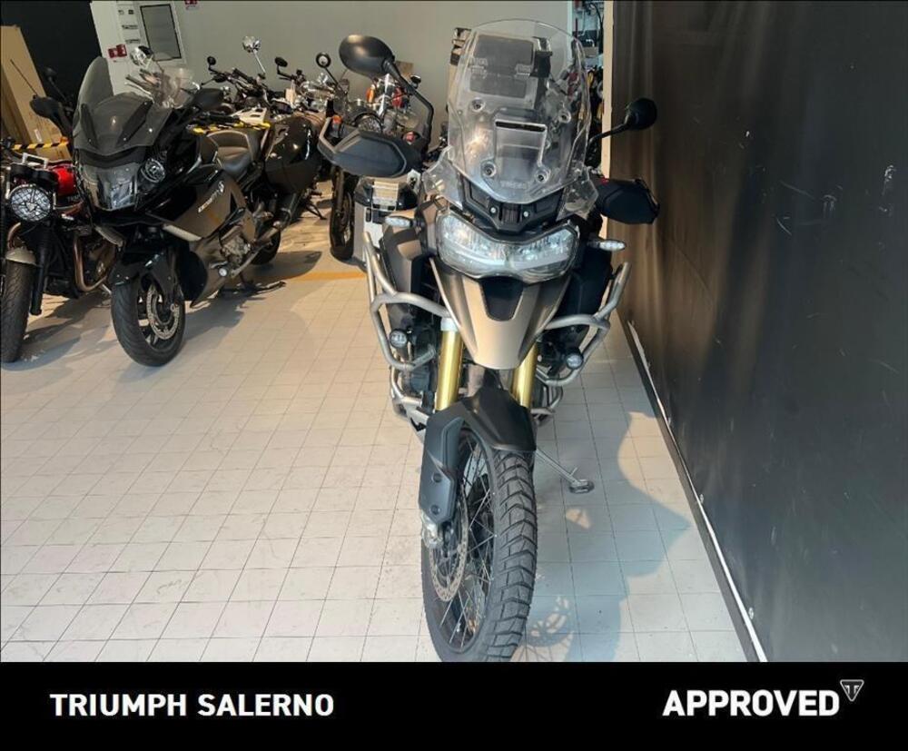 Triumph Tiger 1200 Rally Pro (2024 - 26) (3)