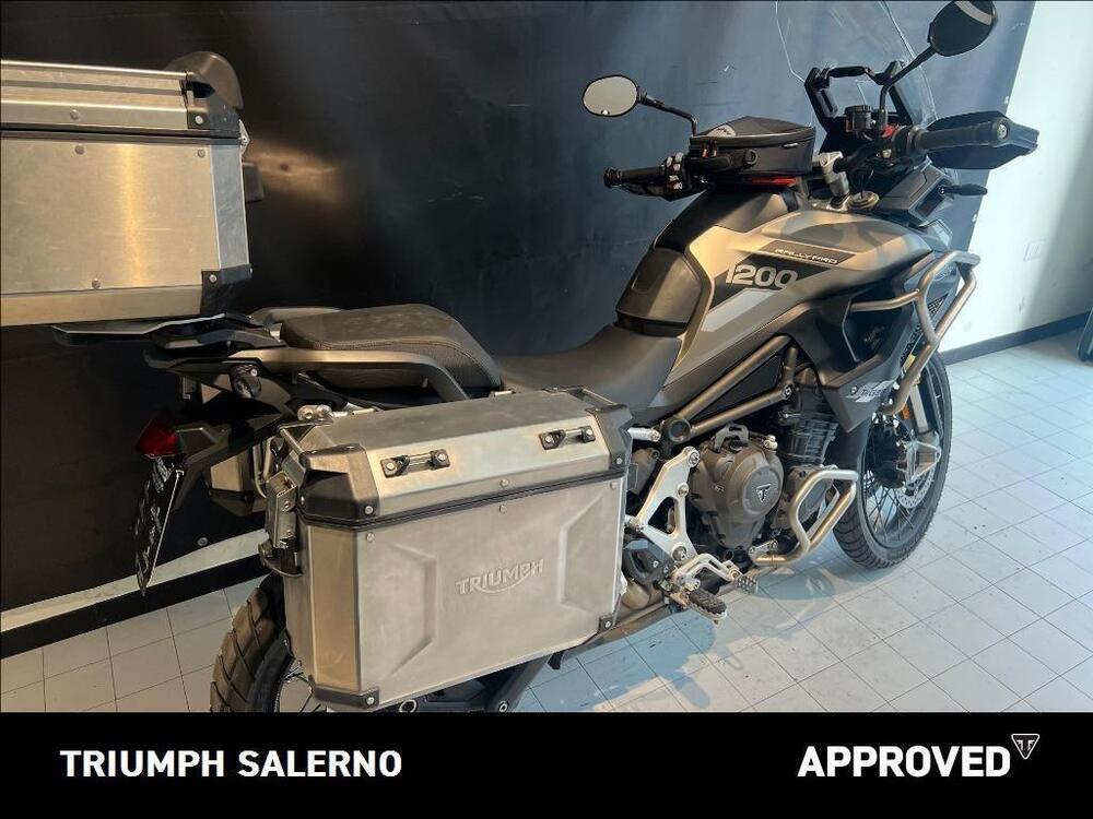 Triumph Tiger 1200 Rally Pro (2024 - 26) (6)