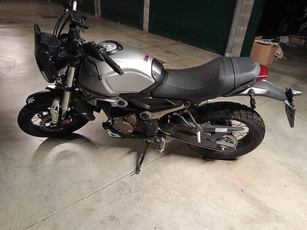 Voge Trofeo 300ACX Scrambler (2021 - 26) (3)