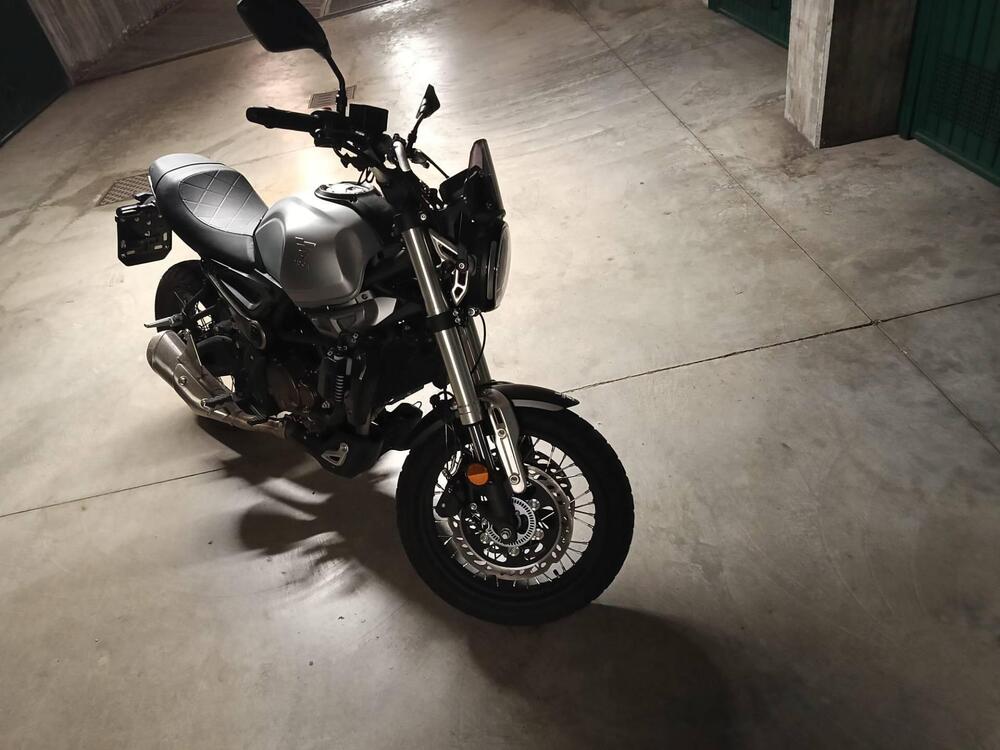 Voge Trofeo 300ACX Scrambler (2021 - 26) (5)