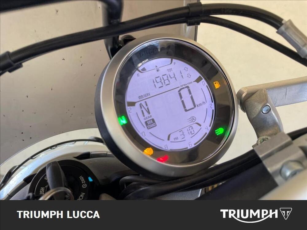 Ducati Scrambler 800 Desert Sled (2017 - 20) (8)