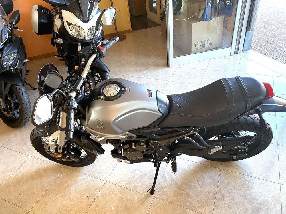 Voge Trofeo 300ACX Scrambler (2021 - 26) (3)