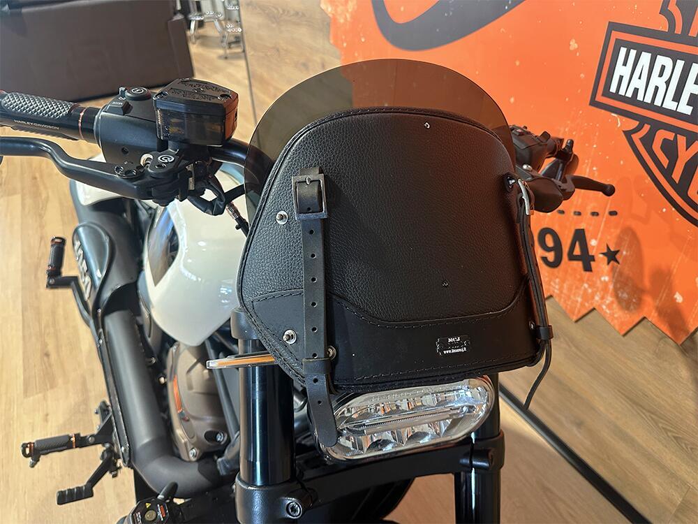 Harley-Davidson Sportster S (2022 - 24) (10)