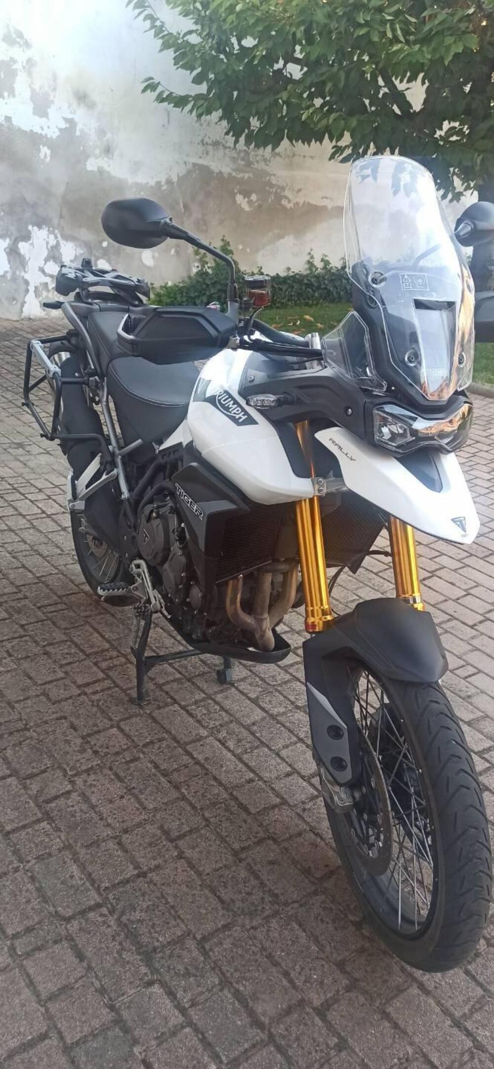 Triumph Tiger 900 Rally (2020 - 23) (8)