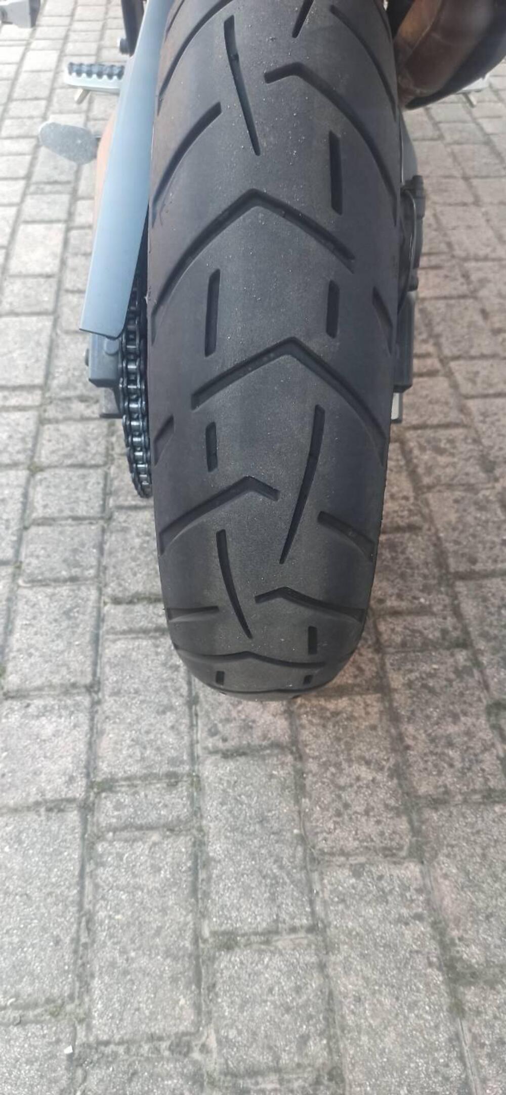 Triumph Tiger 900 Rally (2020 - 23) (10)