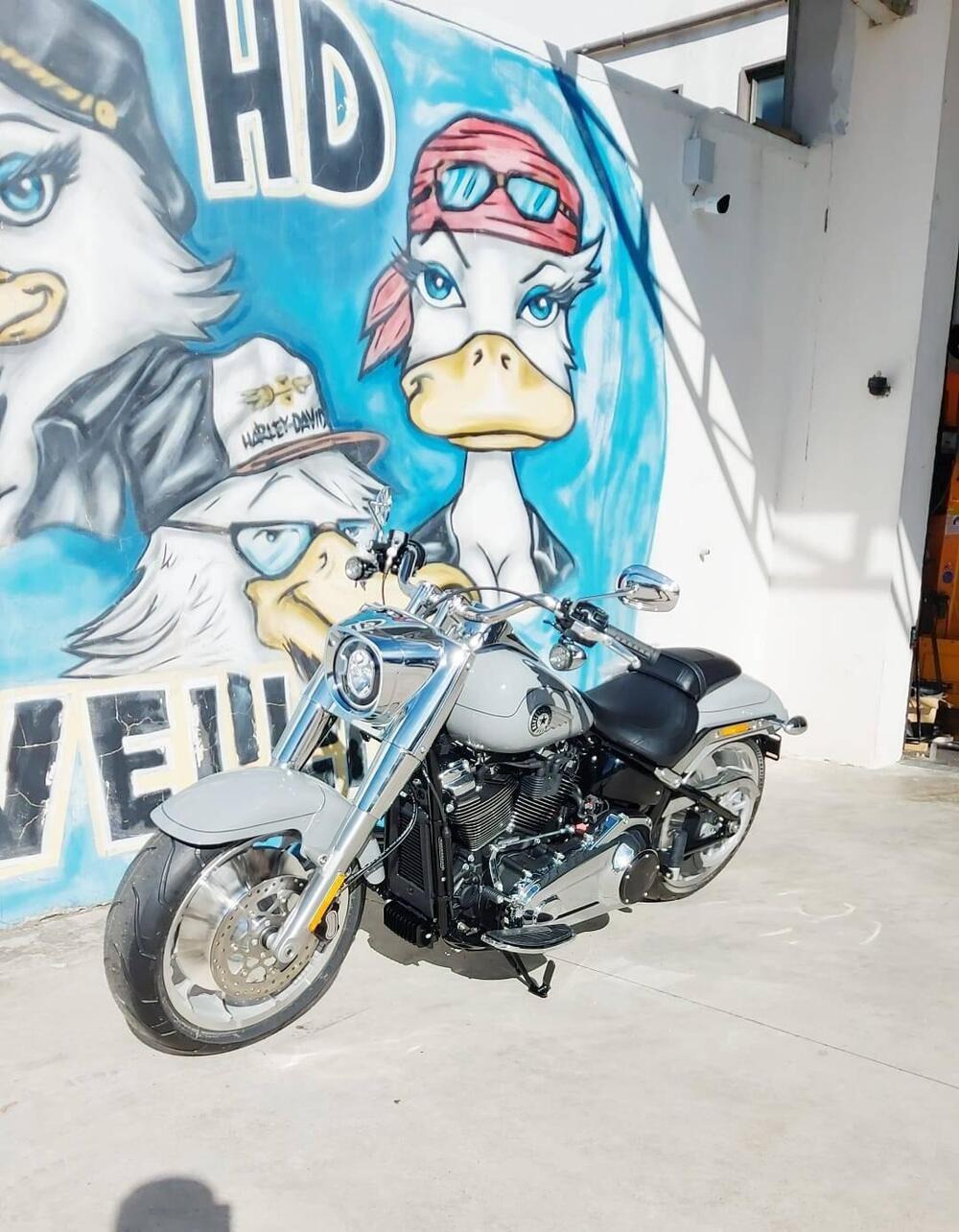 Harley-Davidson Fat Boy 117 (2025 - 26) (4)