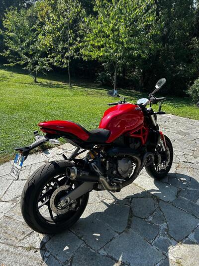 Ducati Monster 821 (2018 - 20) usata