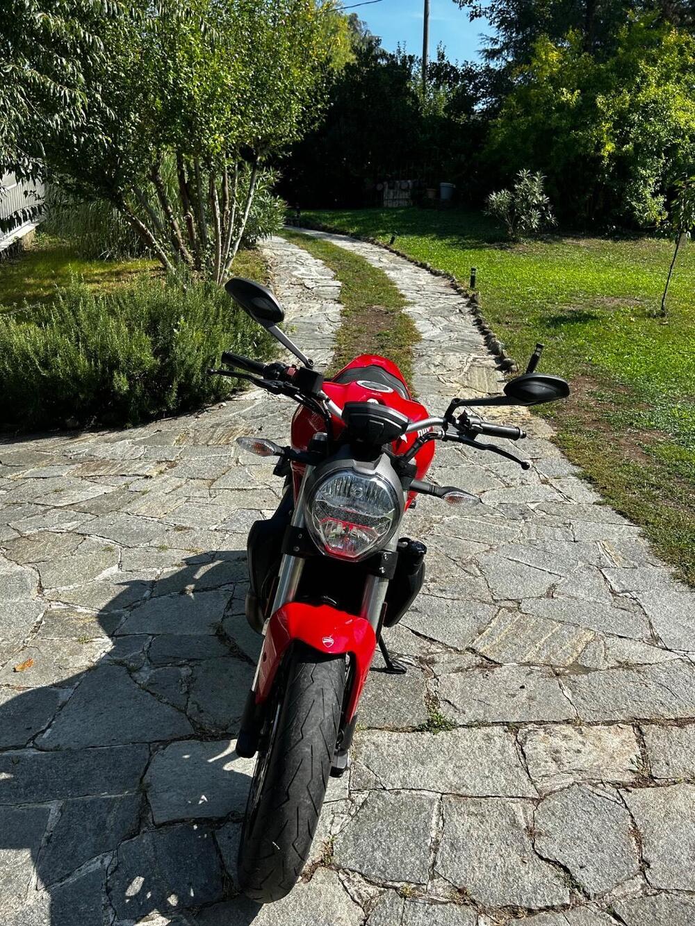Ducati Monster 821 (2018 - 20) (5)