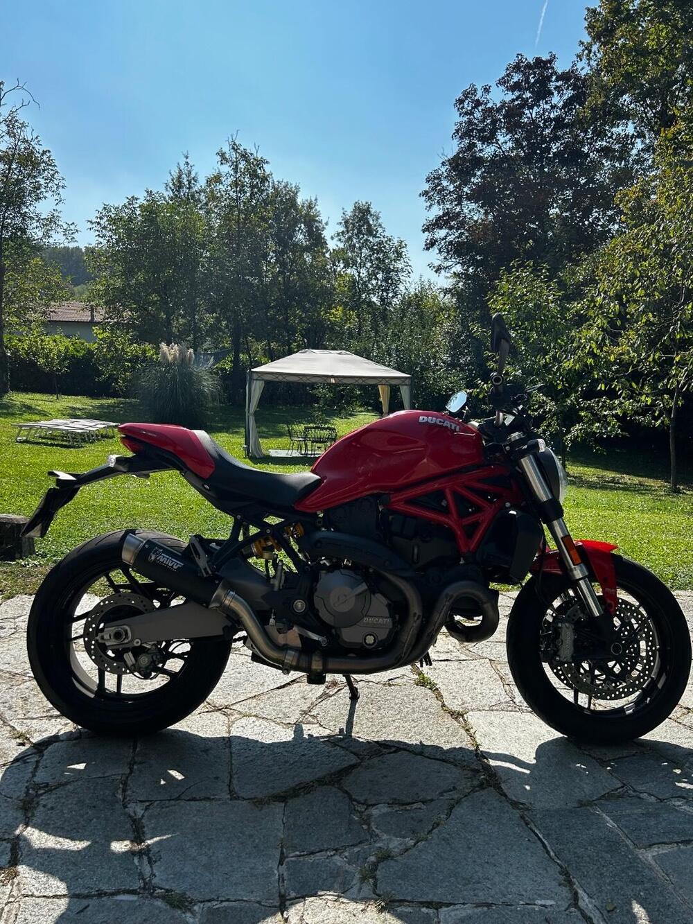 Ducati Monster 821 (2018 - 20) (6)